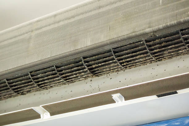 Best Air Duct Cleaning Near Me  in Frenchtown, NJ
